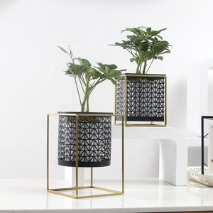 Sáng Tạo Kim Loại Vườn Ban Công Trang Trí Chậu Hoa Đứng Và Trồng Trong Nhà Và Ngoài Trời Greeny Sử Dụng Vàng Kim Loại Đứng Trồng - Product Image 6