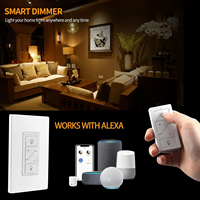 Interrupteur intelligent à un seul bouton DK02, variateur de lumière universel, 110V, compatible Alexa, interrupteur mural US