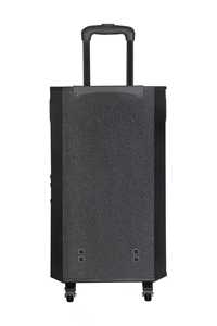 NDR-415 Enceinte sur chariot double 15 pouces 12V12A 100W pour fêtes en extérieur et usage domestique, avec USB, TWS, connexion sans fil, NDR-415, grande puissance, woofer - Product Image 2