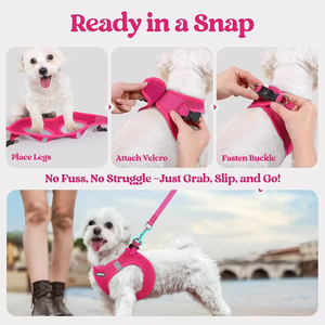 Breathable Mesh Pet Harness Vest Reflective Dog Harness Step In No Pull with Leash for Small Dogs Cats - Product Image 2