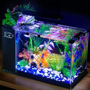 Klein Glas <span class=keywords><strong>2</strong></span> <span class=keywords><strong>Gallon</strong></span> Aquarium Zelfreinigende Led Temperatuur Display Filter Aquarium Mini Tafelblad Bekijken Goudvis <span class=keywords><strong>Tank</strong></span> - Product Image 4