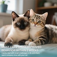 Optimum 3x30 Jours Recharges Inodores Apaisantes pour Chats Diffuseur de Phéromones 3x48ml
