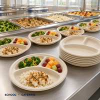 Assiettes rondes en bagasse compostables de 8,86 pouces à 3 compartiments pour la restauration, les repas scolaires et hospitaliers (vente en gros)
