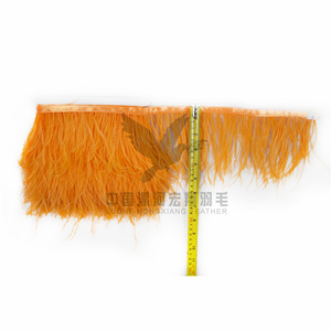 10-13 cm autruche <span class=keywords><strong>plume</strong></span> frange <span class=keywords><strong>pas</strong></span> <span class=keywords><strong>cher</strong></span> vente à la main Pluma De Avestruz garniture vêtements tissu dentelle pour fête danse robe décoration - Product Image 3
