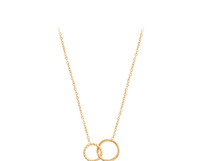 Collier tendance à double cercle en acier inoxydable, pendentif mode, disponible en deux couleurs : argent et rose