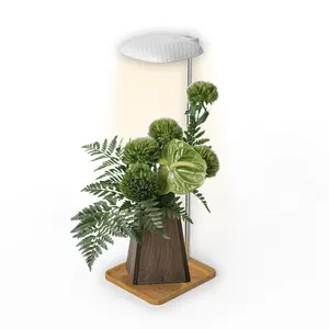 Minigarden de escritorio con palé de bambú, kit de jardín de hierbas para interiores USB, mini Luz de cultivo con certificación CE ROHS como regalo