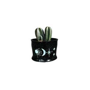 Maceta Negra Moderna para Hogar, Oficina, Sala de Estar, Decorativa y Elegante, para Mesa, Decoración de Interiores - Product Image 4