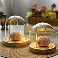 Lampe de nuit LED Premium en forme d'ormeau avec couvercle en verre, base en bois et support de figurine lumineuse féerique