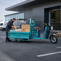 Tricycle électrique de livraison pour supermarchés, distribution d'aliments, distribution d'épicerie et transport commercial