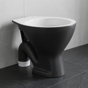 Inodoro de Cerámica Rústico Negro con Doble Vidrio, Sifón en S/P, Diseño de Lujo para Baño - Product Image 1