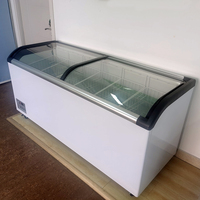 Congélateur coffre horizontal avec porte coulissante en verre incurvé pour supermarché, crème glacée, réfrigéré