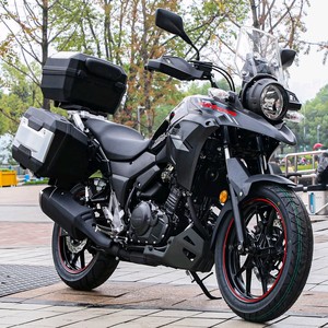Motocicleta Suzuki DL250 WH110T-7 de Dos Cilindros, Motor EFI Refrigerado por Agua, para CB400X Todoterreno, Benagli 502 Travel - Product Image 2