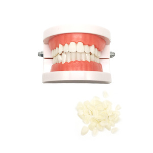 Modelo de Dientes para Práctica de Carillas Dentales, Restauración Estética Oral, Kit de Práctica de Carillas Totalmente Cerámicas (Modelo + 16 Carillas) - Product Image 1