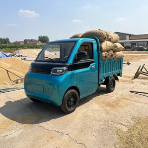 Esun 2026 Nuovo Modello Blu Mini Van Elettrico Pneumatici 155-70-12 Batteria al Litio Ricarica Rapida Guida a Destra LDV per Servizio 45km/h - Product Image 1
