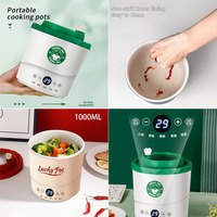 YUEDISI Cuiseur à riz multifonction, mini-mijoteuse électrique antiadhésive pour nouilles et hotpot