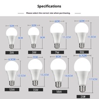 Ampoule LED A60 Culot E27 Économie d'énergie Lumière Blanche Jaune Chaude Tricolore Télécommande CE CRI Élevé 80-90