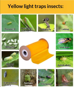 Cinta Adhesiva para Trampas de Insectos de Doble Cara y Una Sola Cara de 20*100CM, Rollo Adhesivo Resistente y Duradero para el Control de Plagas Agrícolas - Product Image 6