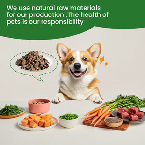 OEM/ODM Probiotiques naturels Aliments et suppléments pour animaux de compagnie Friandises à mâcher molles pour chiens Collations pour l'intestin Qualité de la santé Suppléments de soins de santé pour animaux de compagnie - Product Image 5