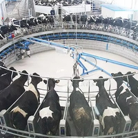 Structure en acier HDG XYSS, Parure de traite complète avec équipement de traite pour ferme bovine, caprine et ovine