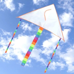 Juguetes educativos al por mayor easyying flying <span class=keywords><strong>cometa</strong></span> <span class=keywords><strong>de</strong></span> <span class=keywords><strong>traccion</strong></span> diy en blanco chino en venta <span class=keywords><strong>de</strong></span> weifang shandong china - Product Image 4