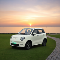 Véhicule électrique à faible vitesse à 4 roues fabriqué en Chine, type fermé, 5 portes, 5 places, 3000W, mini SUV avec une autonomie de 60-120 km