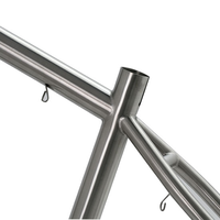 Cadres de vélo de gros pneu de Ti-3Al-2.5V de titane de la chine pour la route/vtt utilisant