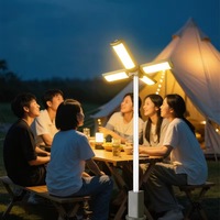 Lampe de camping LED rétractable haute puissance Wason New 1000 Lumens, lampe réglable, feuilles extensibles, lanterne de camping avec support