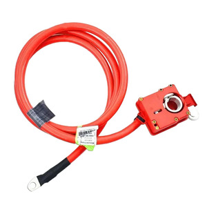 Protector de sobrecarga de batería para <span class=keywords><strong>BMW</strong></span> <span class=keywords><strong>Serie</strong></span> <span class=keywords><strong>5</strong></span> <span class=keywords><strong>E60</strong></span>, línea de protección de batería positiva, 61126989780 - Product Image 1