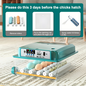 Capacity 16 Eggs <strong>Poultry</strong> Hatching Equipment Egg Incubator 5 Incubation Modes <strong>Automatic</strong> Temperature Regulation - Product Image 4