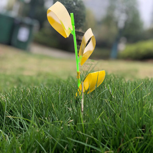 Mới có hình dạng armyworm tấm armyworm Dải chèn màu vàng Sticker côn trùng dính bẫy - Product Image 5