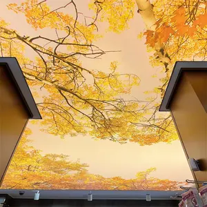 プレハブ住宅用天井タイル室内装飾3D壁紙