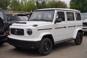 Vehículo Eléctrico Compacto en Oferta, Auto Eléctrico de 4 Ruedas, Mini Automóvil de Nueva Energía, Autonomía de 101-200 km, Batería de 30 kWh - Product Image 2