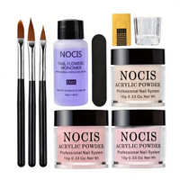 Kit complet de pose d'ongles en acrylique 3D pour débutants – Outils en plastique transparent, rose, nude – Comprend la poudre acrylique et le liquide pour nail art