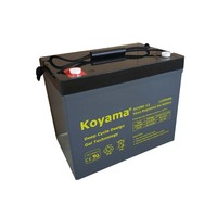 12V85Ah Dep Cycle Batterie pour chariot élévateur et plate-forme d'ascenseur