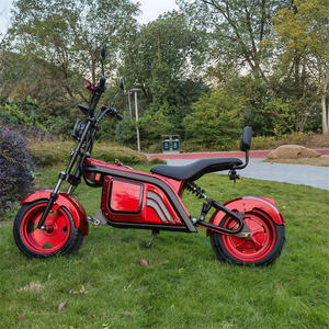 Scooter Eléctrico Citycoco <span class=keywords><strong>2023</strong></span> Más Reciente de 3000W con EEC, Scooter Eléctrico Citycoco con GPS para Europa - Product Image 4