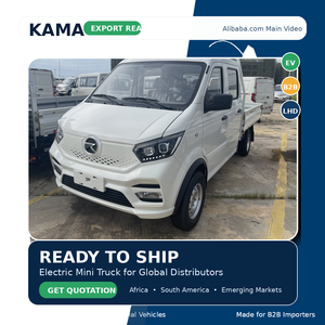 <span class=keywords><strong>Pantera</strong></span> Mini camion 2 passeggeri CNG camion 1,6l carico utile Mini camion 2 Ton - Product Image 1