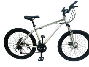 HENG RUN HRM009 Bicicletta da Montagna con Telaio in Acciaio, Ruote da 26 Pollici, 21 Velocità, Freni a Disco, Sospensione Anteriore, Ruote in Lega di Alluminio, Completamente Ammortizzata - Product Image 1