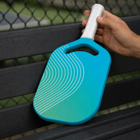 Raquette de pickleball Lingjun en Kevlar et carbone, structure en nid d'abeille sans bordure, absorption de 16 mm, design équilibré pour terrain extérieur, entraînement et divertissement