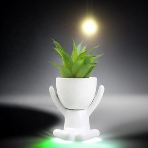 Articles décoratifs <span class=keywords><strong>de</strong></span> bureau en forme humaine Plantes artificielles en pot Décoration <span class=keywords><strong>de</strong></span> petites plantes artificielles <span class=keywords><strong>de</strong></span> bureau <span class=keywords><strong>pour</strong></span> chambre et <span class=keywords><strong>salle</strong></span> <span class=keywords><strong>de</strong></span> <span class=keywords><strong>bain</strong></span> - Product Image 4