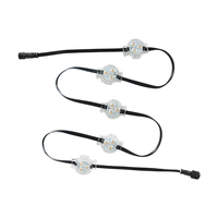 Lumières de Noël LED RGBW étanches IP68 pour parc à thème, DC12V, matériau PC, points lumineux permanents