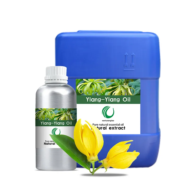 Usine en gros Pure Natural Flower Extraction Ylang Ylang Oil Matières premières pour essence comestible et cosmétiques