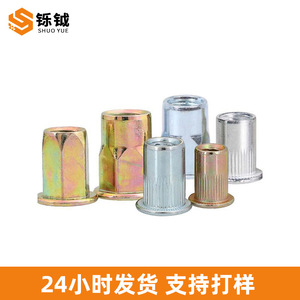 Écrou à sertir Shuoyue M6 métrique, couleur zinc, anti-desserrage, pour l'industrie de la construction - Product Image 5