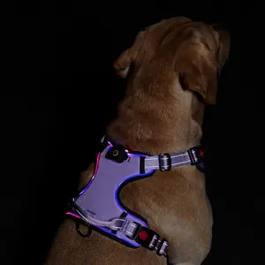 Nuevo chaleco reflectante ajustable con arnés para perros con luz LED recargable, arnés para perros sin estrangulamiento, mango de fácil Control, arnés para mascotas para perros