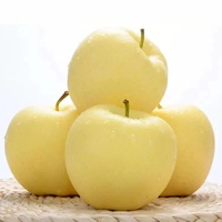 Gouden Delicious Appels Exportkwaliteit Verse Gele Appels Met Premium Verpakking Voor Internationale Kopers
