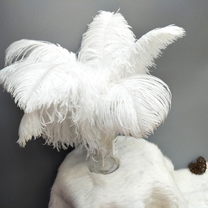 All'ingrosso tinto eco-friendly 22-24 <span class=keywords><strong>pollici</strong></span> bianco grandi piume di struzzo utilizzato per la decorazione di carnevale cappelli di abbigliamento festa di nozze - Product Image 6