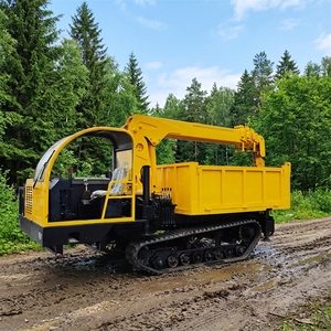 Compact 3 Ton Crawler Mounted <b>Crane</b> All Terrain Hydraulic Equipment - Product Image 2
