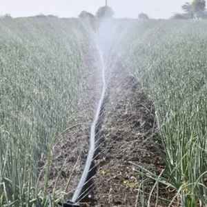 Sistema agrícola manguera de lluvia manguera de agua micro tubo de riego por aspersión