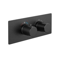 Mélangeur d'eau chaude et froide noir mat à 2 voies Robinet de douche Contrôle multi-fonctions Vanne en laiton