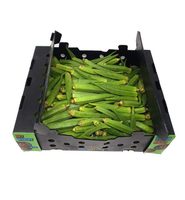 Boîte de gombo frais PP emballant des boîtes de légumes de stockage de fruits en plastique ondulé
