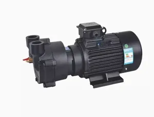 Bomba de Vacío MINAMOTO SBV-27-1.1kW 52-1.5 A-2.2 80-3 110-4 BV-160-4 230-5.5 280-7.5, Garantía de 3 Años, Hecho en China - Product Image 2
